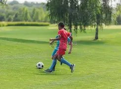 高考前夕,专家提倡家,长陪同孩子,金宝博188bet体育官网,金宝博188bet体育直播,体育赛事直播,足球直播