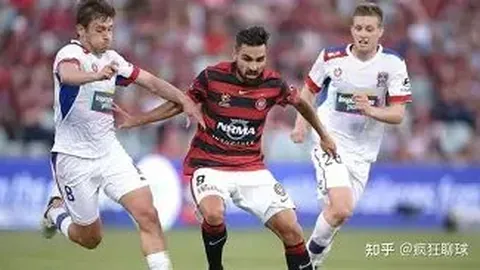 金宝博190bet体育 产品 012531 a4v